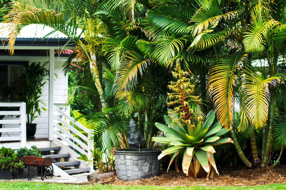 Greenery - The Garden Nursery Pic 1