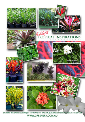 Greenery - The Garden Nursery Pic 3 - Tropical Garden Inspirations