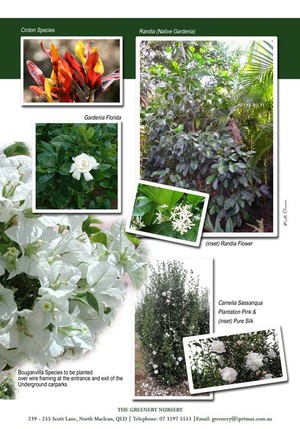 Greenery - The Garden Nursery Pic 4 - Formal Garden Inspirations