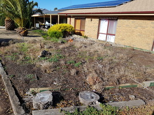 Second 2 None Gardening & Maintenance Pic 4