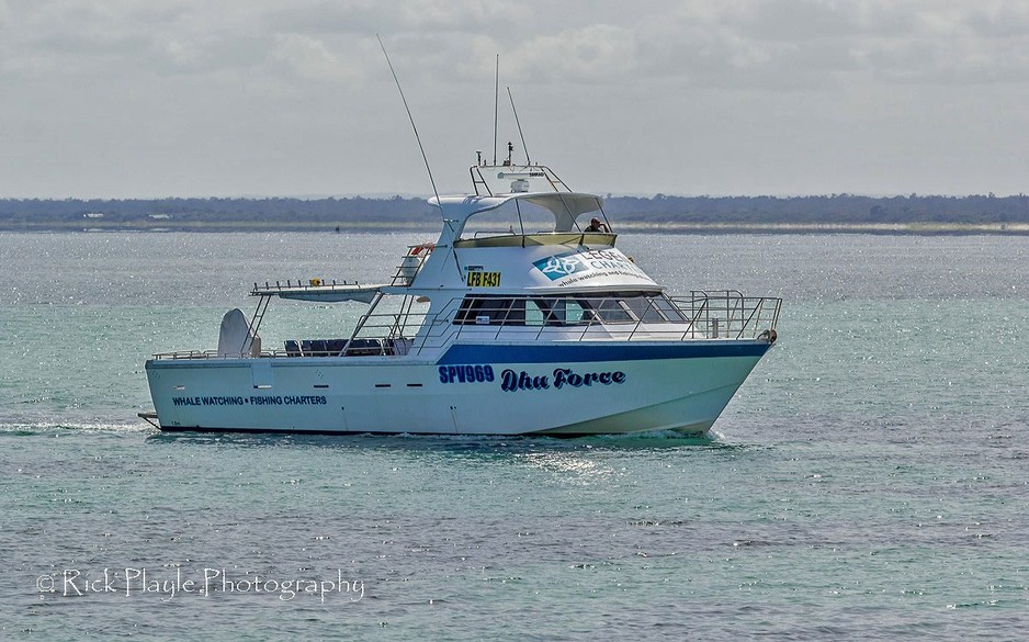 Legend Charters Whale Watching and Deep Sea Fishing Tours Pic 1