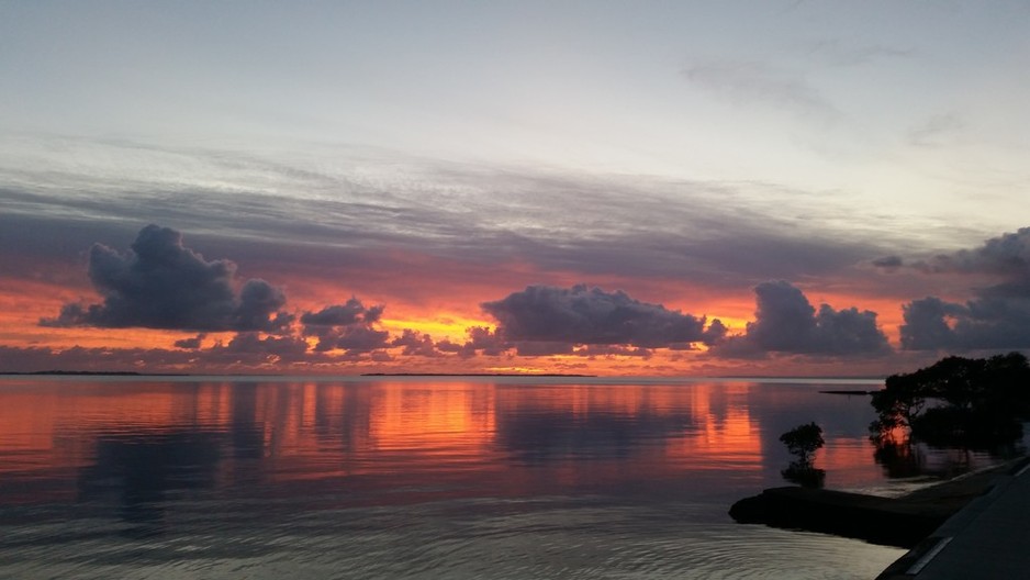 Investment Zone Pic 1 - Sunrise Wynnum Manly Esplanade May 2014