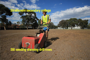 Reseedmylawn.com.au Pic 4 - Overseeding Strathmore secondary college oval