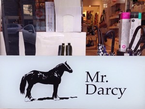 Mr Darcy Pic 3