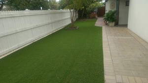 Whole Yard Services Pic 5 - Turf Laying