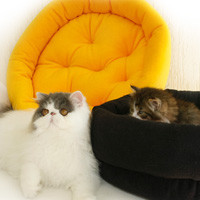 Online Pet Shops Pic 1 - Our wonderful handmade PetSnugs