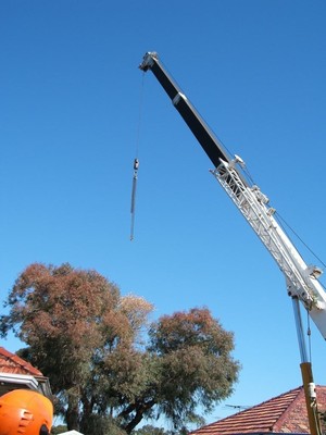 At Your Tree Service Pic 3