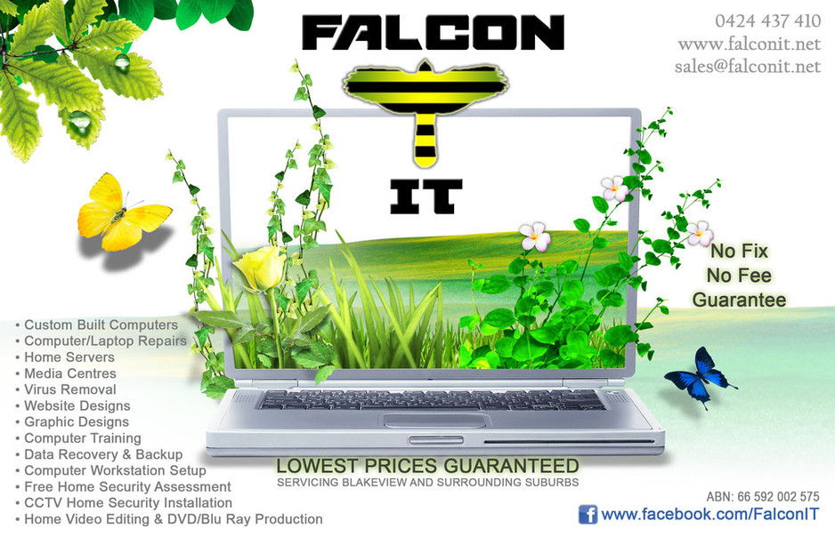 Falcon I.T. Services Pic 1