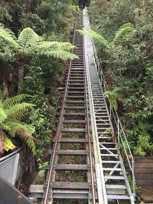 Scenic World Blue Mountains Pic 3