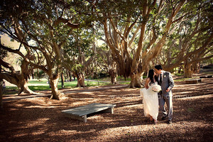 Nielsen Park Cafe & Restaurant Pic 5 - Wedding photography in Nielsen Park