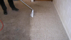 Spotless Cleaning Sydney Pic 3