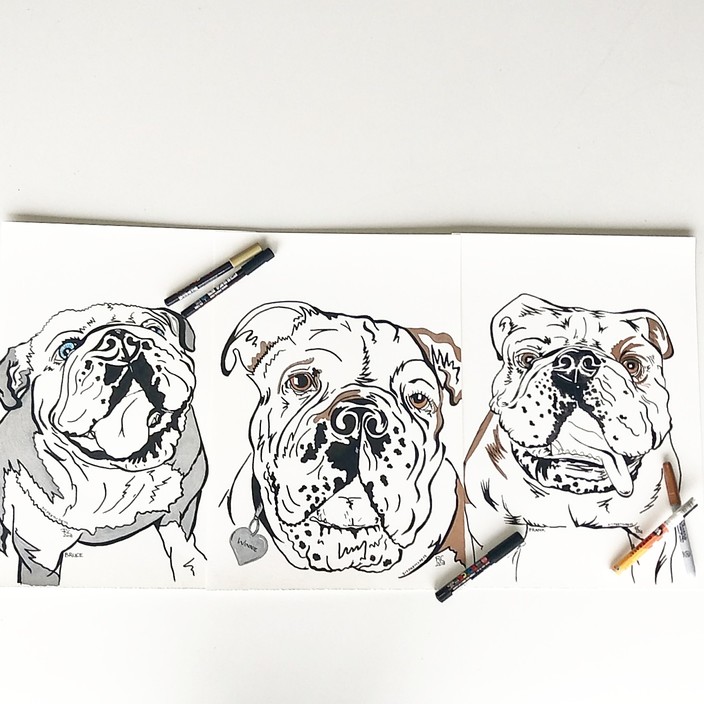 Sit Pretty Pet Portraits Pic 1 - Handdrawn A3 size custom pet portraits 60 each