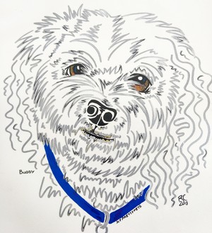 Sit Pretty Pet Portraits Pic 3 - A3 Handdrawn custom pet portrait 60