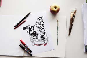 Sit Pretty Pet Portraits Pic 5 - A4 handdrawn custom pet portrait 50