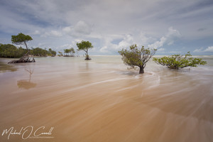 Michael O'Connell Outdoor Photography Pic 2 - Sandy Creek Lee Point Darwin