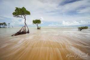 Michael O'Connell Outdoor Photography Pic 5 - Flowing Lines Sandy Creek Darwin