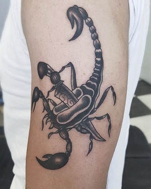 Primitive Tattoo Pic 2 - Scorpion tattoo Primitive Tattoo