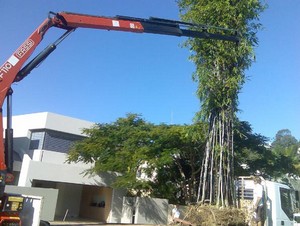 Trucking Crane Trucks Pic 3