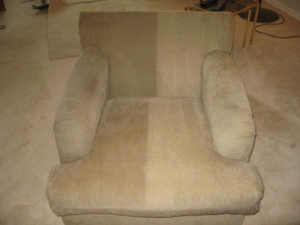 Renew Carpet & Upholstery Cleaning Specialists Pic 1 - Upholstery Cleaning difference