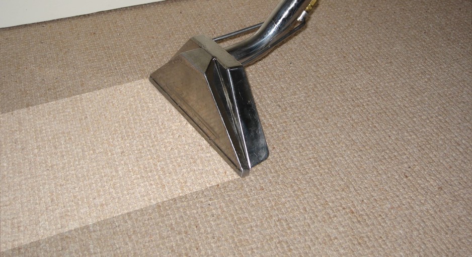 Renew Carpet & Upholstery Cleaning Specialists Pic 2 - Wet Carpet Cleaning