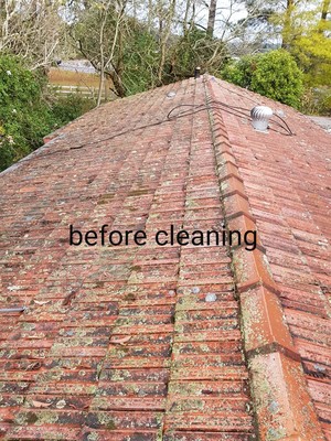 Absolute Pressure Cleaning Service Pic 5