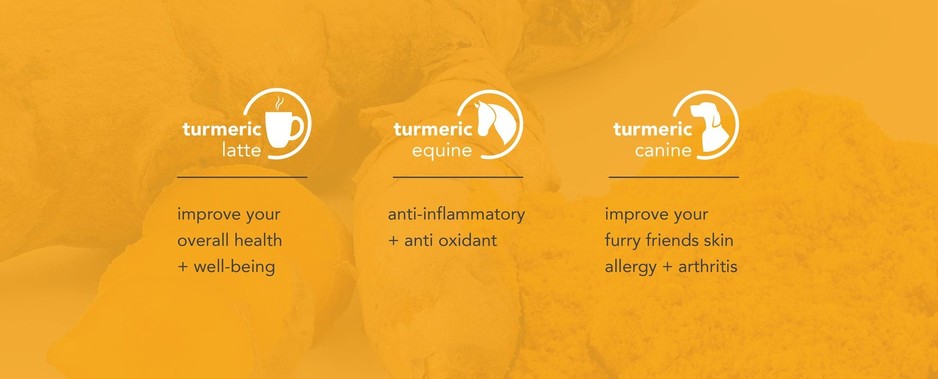 Turmeric Direct Pic 2