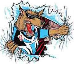 Bribie Island Rugby League Football Club Inc In Bribie Island Qld Sports Clubs Truelocal