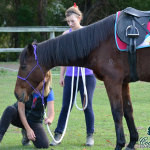 Coolbadah Equestrian Centre Pic 2