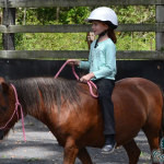 Coolbadah Equestrian Centre Pic 3