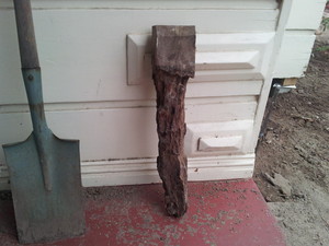 TMC Building Design Group Pty Ltd Pic 5 - old red gum stump