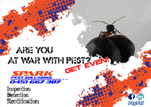 Spark Pest Solutions Pic 2