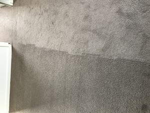 Forest Cleaning Services Pic 3 - Carpet Cleaning Forest Cleaning Services