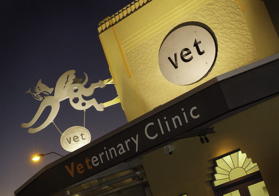 Stephen Terrace Veterinary Clinic Pic 1