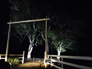 Affordable Electrical Solutions Pty Ltd Pic 2 - Outdoor Feature Lights