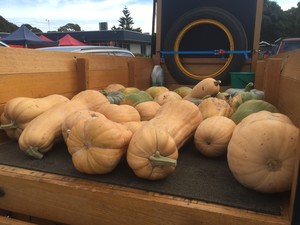 Esperance Growers Market Pic 5 - The Pumpkin Mans Vintage Truck and Butternuts