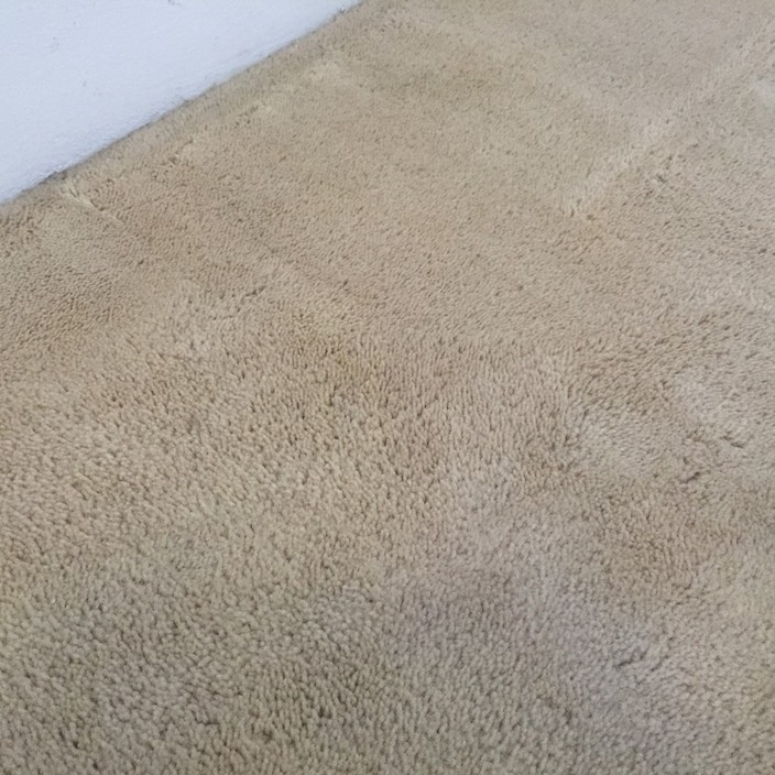 Encore Carpet Professionals Pic 1 - After Bleach damage has been recoloured