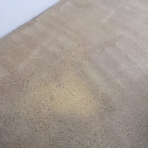 Encore Carpet Professionals Pic 2 - Before Bleach damage caused by cleaning products