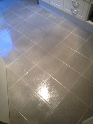 Not Just Steam Cleaning Pic 4 - Tile Grout clean before