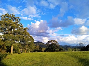 Coffs Coast Acupuncture Pic 2