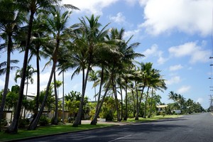 La Solana Holiday Units Pic 2 - follow the palm trees to your quiet retreat la solana holiday units