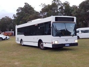 Party Bus Hire Perth Pic 3 - bus hire perth