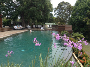 Gwinganna Lifestyle Retreat Pic 3 - Chilling in the horizon pool