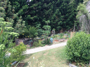 Gwinganna Lifestyle Retreat Pic 2 - Veggie patch