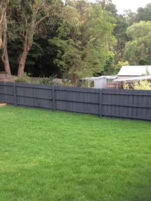 ALlcover Fence Painting Pic 2