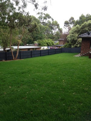 ALlcover Fence Painting Pic 3