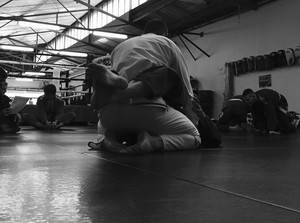 Mata Leao Brazilian Jiu Jitsu Pic 5