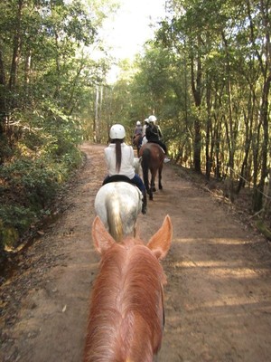 Glenworth Valley Outdoor Adventures Pic 2 - Guided horse riding tours