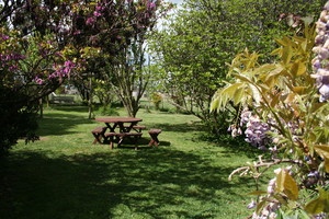 Poppy's Cottage B & B Pic 3 - Relax in the Garden Setting