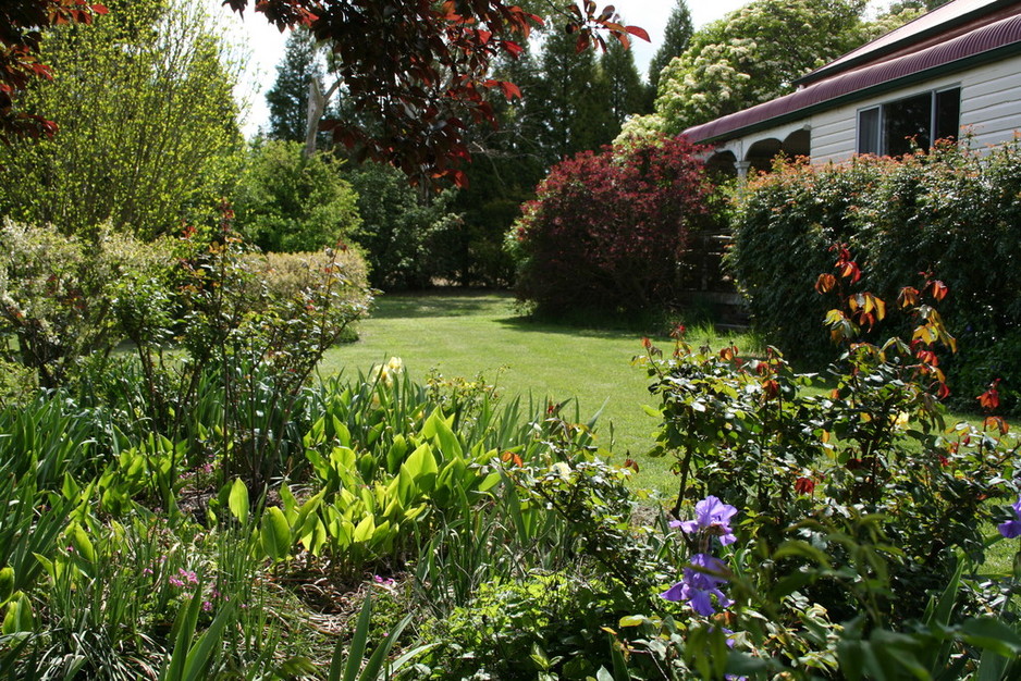 Poppy's Cottage B & B Pic 1 - The garden in Spring