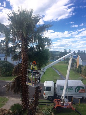 Gettin It Done Tree Services Pty Ltd Pic 4